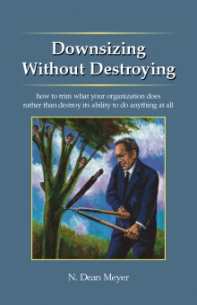 Book: Downsizing Without Destroying